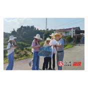 省乡村振兴局驻卢峰镇红星村工作队，改善人居环境，建设和美乡村