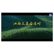 第1视点｜江南正是奋进时