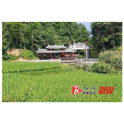 两丫坪镇：村民集资建凉亭 乡村振兴齐出力