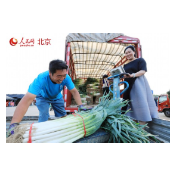 跟着总书记看中国｜新发地：托稳首都“菜篮子” 打造新消费活力之地