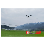 北斗溪镇：科技护航助丰产   示范引领促农收