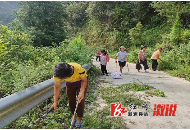 淘金坪乡：清除路域杂草  提升人居环境
