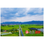 卢峰镇：风吹稻花香 丰收喜在望