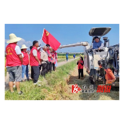 观音阁镇中青班举办“田间课堂” 助力农业丰收