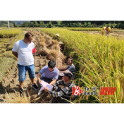 北斗溪镇：守护碧水蓝天，筑牢秸秆禁烧“防火墙”