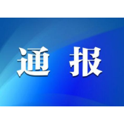 湖南通报8起农村集体“三资”管理突出问题典型案例