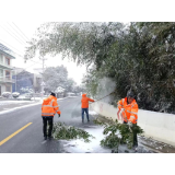 溆浦县交通运输局迎战首场降雪，全力保障市民出行安全