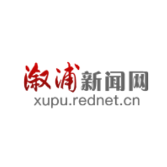 两丫坪镇：医保社保惠民生 宣传服务暖人心