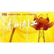 情满濠江丨石排湾的客人