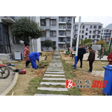 三江镇：整治“毁绿种菜” 共享舒适环境