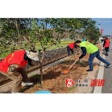 观音阁镇：“党建红”守护“生态绿”，助力“林长制”实现“林长治”