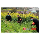 统溪河镇：禁毒宣传多措并举，旅游小镇和谐美好