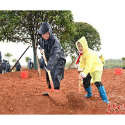 湖南开展集中义务植树活动 沈晓明毛伟明等省领导参加