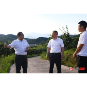 郑湘到乡镇调研产业发展、耕地抛荒整治、安全生产等当前重点工作