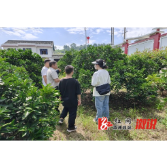 水东镇：支农小队来助力，乡村振兴正当时