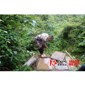 水东镇：构筑坚实健康防线，保障灾后饮水安全