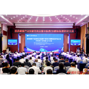 第十一届全球湘商大会医药健康产业发展交流会暨中医药ISO国际标准怀化大会召开