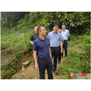 杨廉喜调研竹产业发展