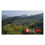 “粮”辰美景话丰收