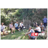 水东镇：民族团结一家亲 民情恳谈心连心