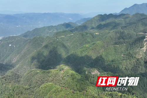 微信图片_20251029112112_541_39.png 微信图片_20251029112112_541_39.png