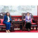 韦朝晖会见凯素林一行