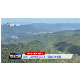 四中全会精神在基层丨溆浦：让信息化成为乡村振兴的新农具