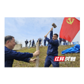 低庄镇：未雨绸缪筑防线 实战演练砺精兵