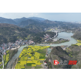 思蒙油菜花点缀湿地公园