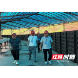 观音阁镇：人大法治护绿进行时 防治大气污染在行动
