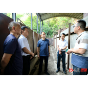 杨廉喜调研指导软弱涣散村党组织整顿工作