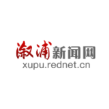 张伟领衔督办重点提案