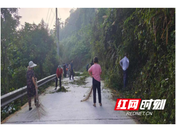 水东镇：党建引领齐上阵 凝心聚力焕新颜