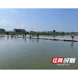 市生态环境局溆浦分局：以案促改 增殖放流助力生态修复