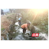 水东镇：党群同心清淤渠 筑牢根基护粮安