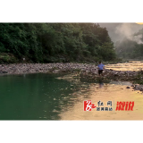 三江镇：齐心除乱象 合力护河清