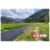 观音阁镇：修好民生“幸福路” 同心纾困办实事