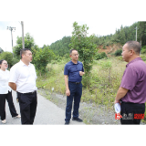 杨廉喜到龙潭镇调研产业发展情况