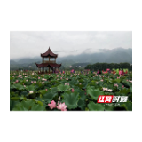 水东镇刘家渡村：党建引领聚合力 法治护航启新程