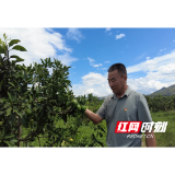 老兵新传：汪泽春——从空军战士到乡村振兴“排头兵”