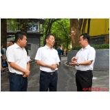 许忠建专题调研城市品质提升和重点文旅项目建设