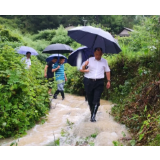 溆浦讯｜暴雨山洪来袭，我县积极组织抗洪防灾及善后工作