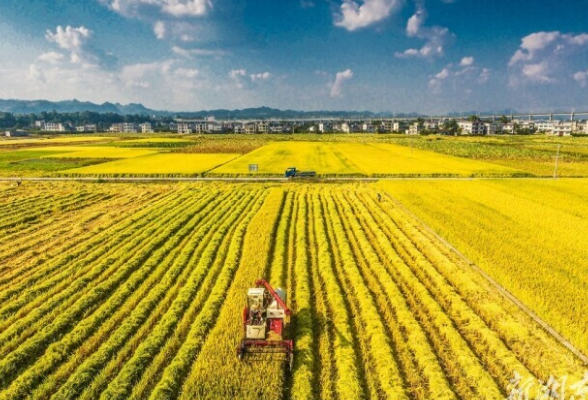 “三个高地”开启新篇