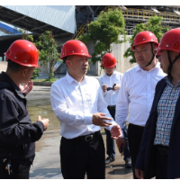 郑湘：高举“兴工强县”大旗 助推湘维公司重整复产