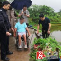 祖师殿镇再次破获一非法种植罂粟案件