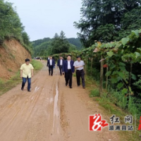 小横垅乡雷坡村：党建引领乡村振兴