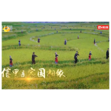 总书记来信 第3集：命运与共