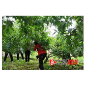 沿溪乡：激发易地搬迁群众脱贫致富 助力乡村振兴