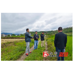 祖师殿镇全面开展抛荒耕地排查整治