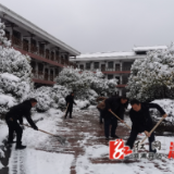 北斗溪镇：让党旗在除雪救灾一线高高飘扬！